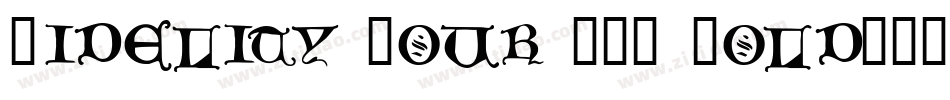 Fidelity Hour BTN Bold字体转换